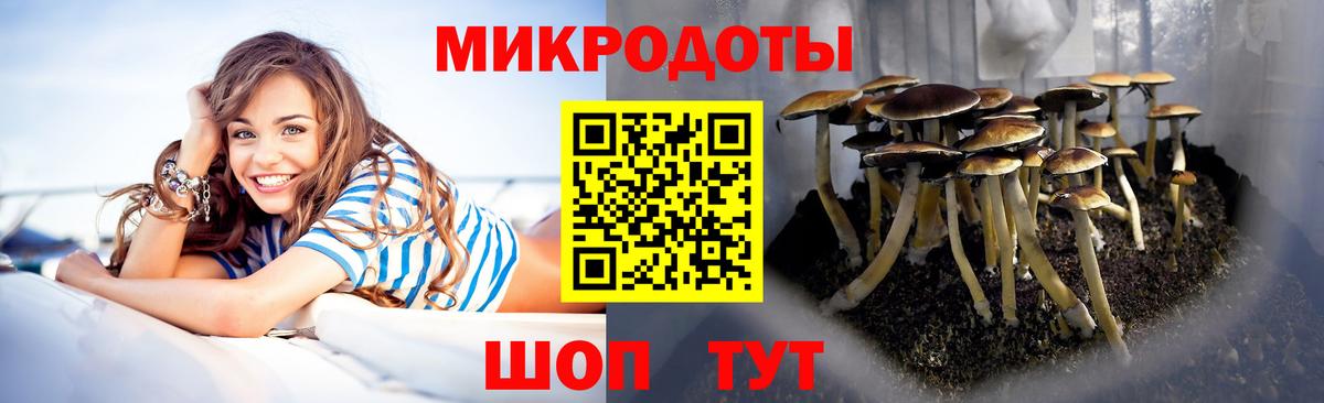 Галлюциногенные грибы ЛСД  Вход с VPN  Усть-Кут 